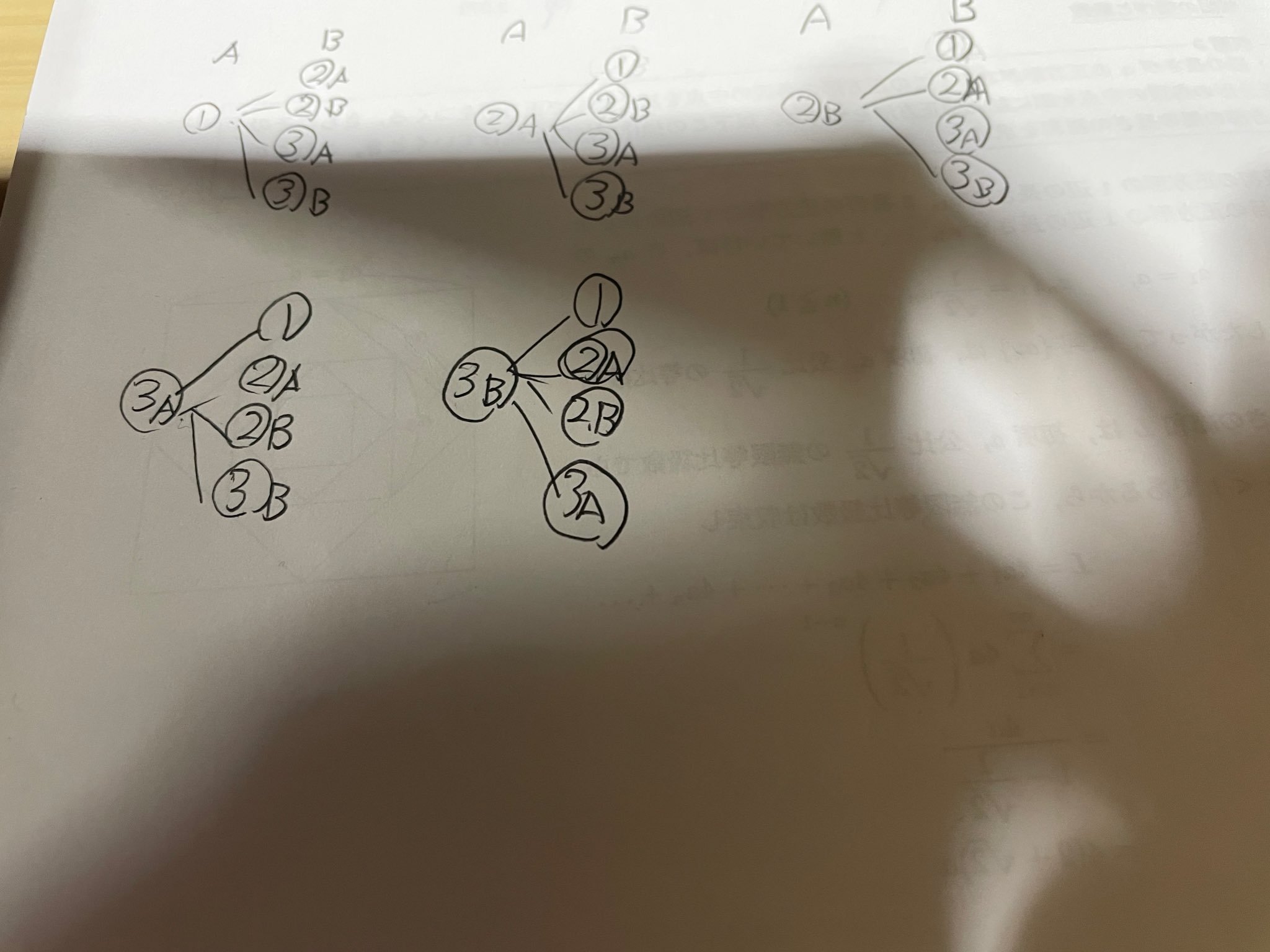 20250211_C.jpeg