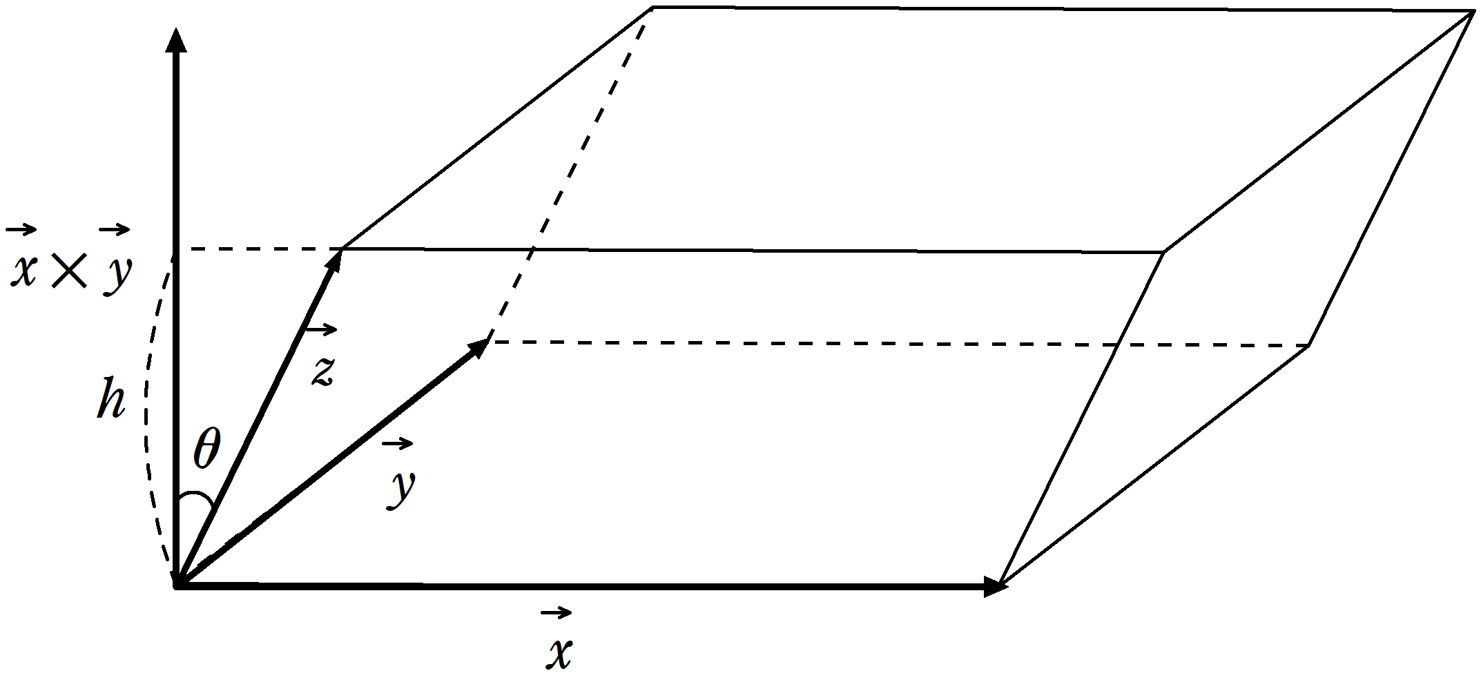 20250118 vec.png